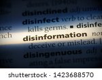 disinformation word in a dictionary. disinformation concept.