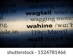 Small photo of wahine word in a dictionary. wahine concept, definition.