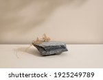 Minimal modern natural beauty. Background for branding and product presentation. Still life mock up photo of a gray stone and a dry flower with long shadow on beige table.