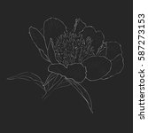 outline drawing of peony flower ... | Shutterstock .eps vector #587273153