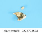 Small photo of Canine molar dog tooth with dental calculus and piece of toothing stone broken off