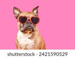 Funny French Bulldog dog wearing heart shaped Valentine's Day glasses on pink background with copy space