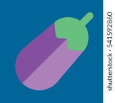 eggplant icon flat disign | Shutterstock .eps vector #541592860