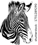 Jumping Striped African Zebra ...