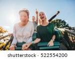 Enthusiastic young friends riding roller coaster ride at amusement park. Young people having fun at amusement park.