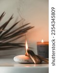 Small photo of Palo Santo sticks on a light background.Aromatherapy religious rituals meditation.Wellness with aromatherapy and the occult.Healing incense Palo Santo.Organic incense of the holy ritual tree.Ibiokai