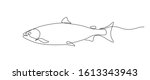salmon fish in continuous line... | Shutterstock .eps vector #1613343943