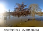 A Flooded Park In England With...