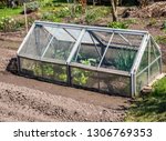 Greenhouse In Spring