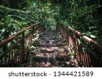 Abandoned Jungle Stairs and hiking Trail in Bukit Timah Nature Park - Singapore