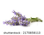 Small photo of Bouquet of blooming lavender spikes on white table isolated. Front view. Horizontal composition.