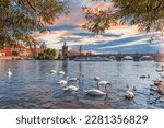 View on Charles bridge and Swans on Vltava river. Swans on Vltava river, towers and Charles Bridge at sunset in Prague, Czech Republic.