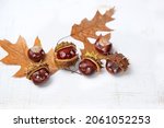 Cute Chestnuts With Smiling...