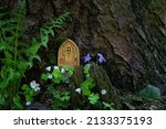 Small photo of tree with Little fairy wooden door in forest, natural background. Fairy tale tree house in woodland, pixie or elf home. beautiful mystery magic atmosphere. wild fantasy aesthetic