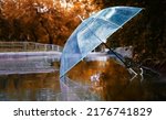 Transparent umbrella in water...