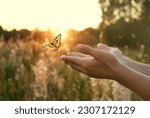 flying butterfly and human hands on abstract sunny natural background. freedom, save wild nature, ecology concept. encounter man and nature. harmony, peaceful atmosphere landscape. copy space