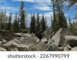 Small photo of A pile of large boulders in front of evergreen and Aspen trees in White River National Forest, Aspen, Colorado, USA