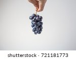 Holding blue grapes on isolated background.