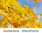 Natural Autumn Background With...