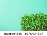 Small photo of Young Fresh Green Sprouts of Potted Water Cress on Pastel Turquoise Background. Gardening Healthy Plant Based Diet Food Garnish Microgreens. Minimalist Style. Top View Flat Lay. Poster Banner Streamer