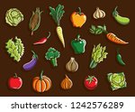 vegetables set collection... | Shutterstock .eps vector #1242576289