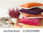 colorful cushions throw cozy home autumn mood flower