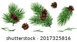 christmas fir tree branches... | Shutterstock .eps vector #2017325816