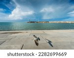 Small photo of A seagull flies over the Kings Steps in Margate with the Margate Harbour Arm in the distance.