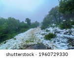 Small photo of View of footpath in a forest, on a rare snowy day, on mount Adir, Northern Israel