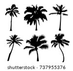 set tropical palm trees  black... | Shutterstock . vector #737955376