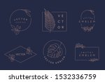 vector logo design templates... | Shutterstock .eps vector #1532336759