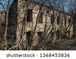 Ruined buildings in the Swamp image - Free stock photo - Public Domain ...