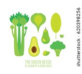 healthy green food celery... | Shutterstock .eps vector #620398256