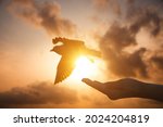 Close up image silhouette hand of woman praying and free bird enjoying nature on sunrise and overcast sky and cloud background, hope concept.
