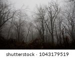 Landscape With Beautiful Fog In ...