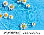 Chamomile Flowers On A Blue...