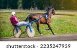 Small photo of Jockey and horse. Trotting horse race. Race in harness with a sulky or racing bike. Harness racing. Trotting horse race. Sport banner