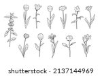 silhouettes  floral branch and... | Shutterstock .eps vector #2137144969