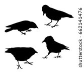 Set Vector Silhouette Of A Crow ...