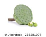 Lotus Seeds Green Isolated On...