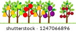 different garden trees with... | Shutterstock .eps vector #1247066896