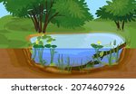 Abstract cartoon landscape with split level freshwater pond. Biotope pond with Yellow water-lily (Nuphar lutea) plants and driftwood