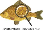 scales of crucian carp fish... | Shutterstock .eps vector #2099321710