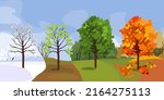 maple tree at four seasons ... | Shutterstock .eps vector #2164275113