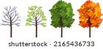 maple tree at four seasons ... | Shutterstock .eps vector #2165436733