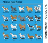 cartoon dogs characters meduim... | Shutterstock .eps vector #729227476