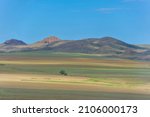 steppe, prairie, veld, veldt - Steppe can be semi-arid or covered with grass or shrubs, or both. The term "steppe climate" refers to a climate found in regions too arid to support a forest