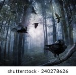 Black Crows Flying In The...