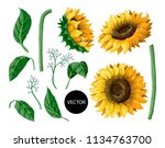 Sunflowers Isolated On A White...