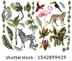 jungle animals  flowers and... | Shutterstock .eps vector #1542899429
